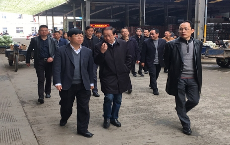 2017年3月16日下午，嘉興市委常委、常務(wù)副市長(zhǎng)樓建明帶領(lǐng)市級(jí)相關(guān)部門(mén)負(fù)責(zé)人視察嘉興蔬菜批發(fā)市場(chǎng)