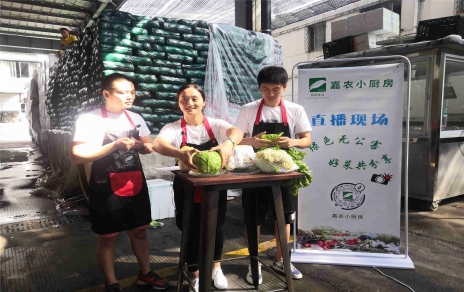 創(chuàng)意直播帶貨,本期專欄：蘭州高原夏菜！
